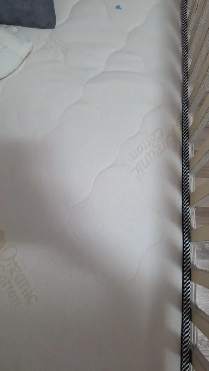 Close view of the treated area, a small blue mark visible on the pale surface
