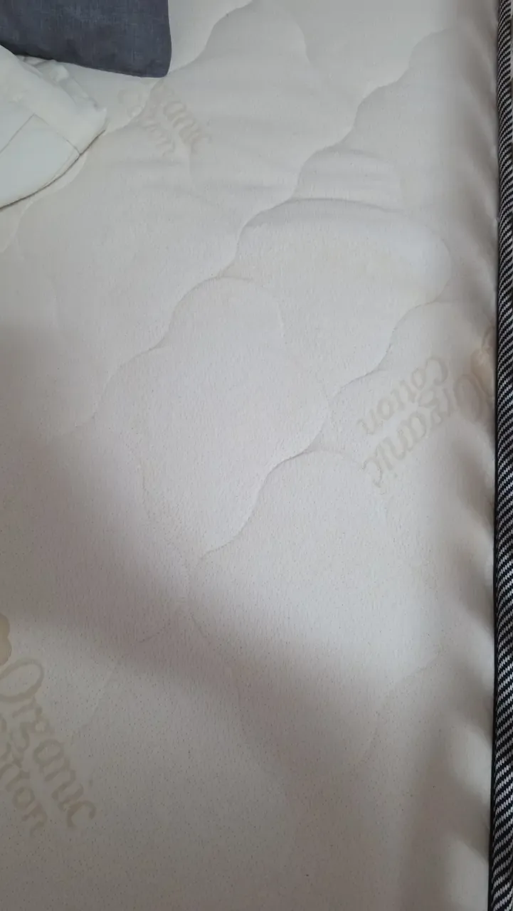 The same cot mattress after treatment, the patch much fainter