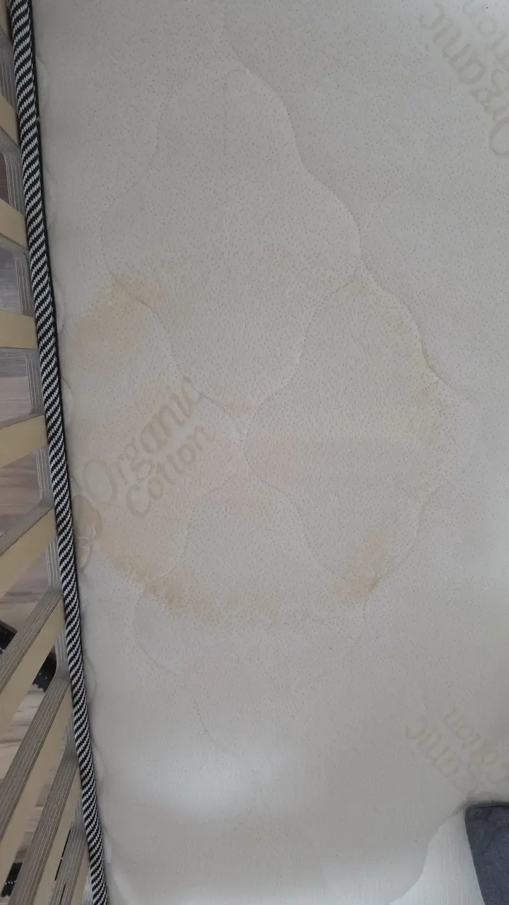 Close-up of a dried urine ring on an organic cotton cot mattress, yellow-brown at the edges