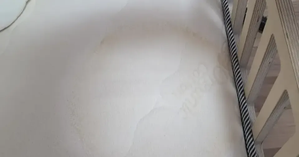 A dried urine stain spread across a pale cot mattress, photographed from above